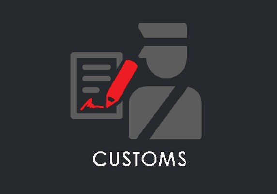 Just provide the Customs invoice number to be paid and the declarent code and you will be able to pay your customs invoices from your place.